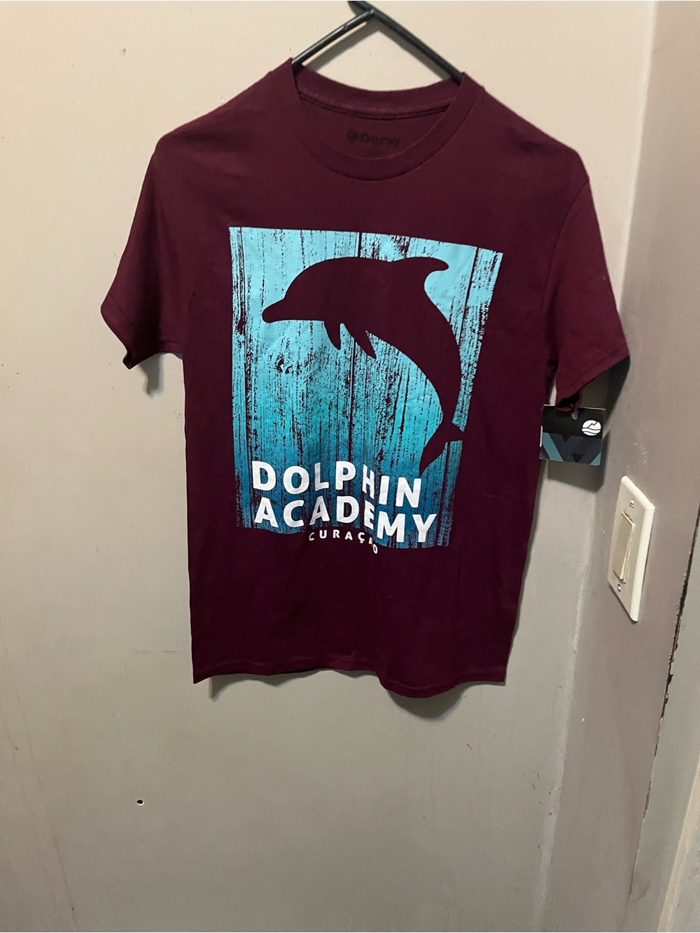 Dolphin Academy Kids Swim T-Shirt - Burgundy with Aqua Graphic